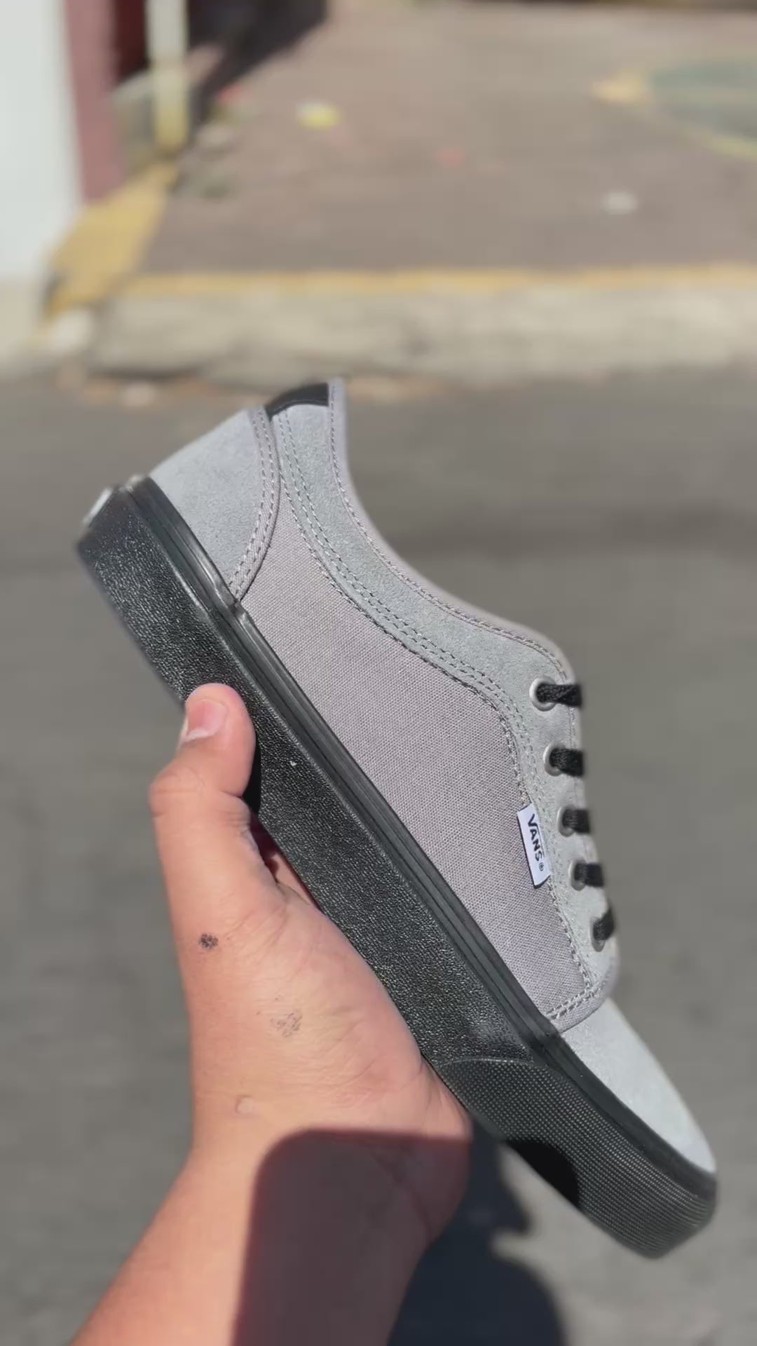 Vans Skate Chukka Low